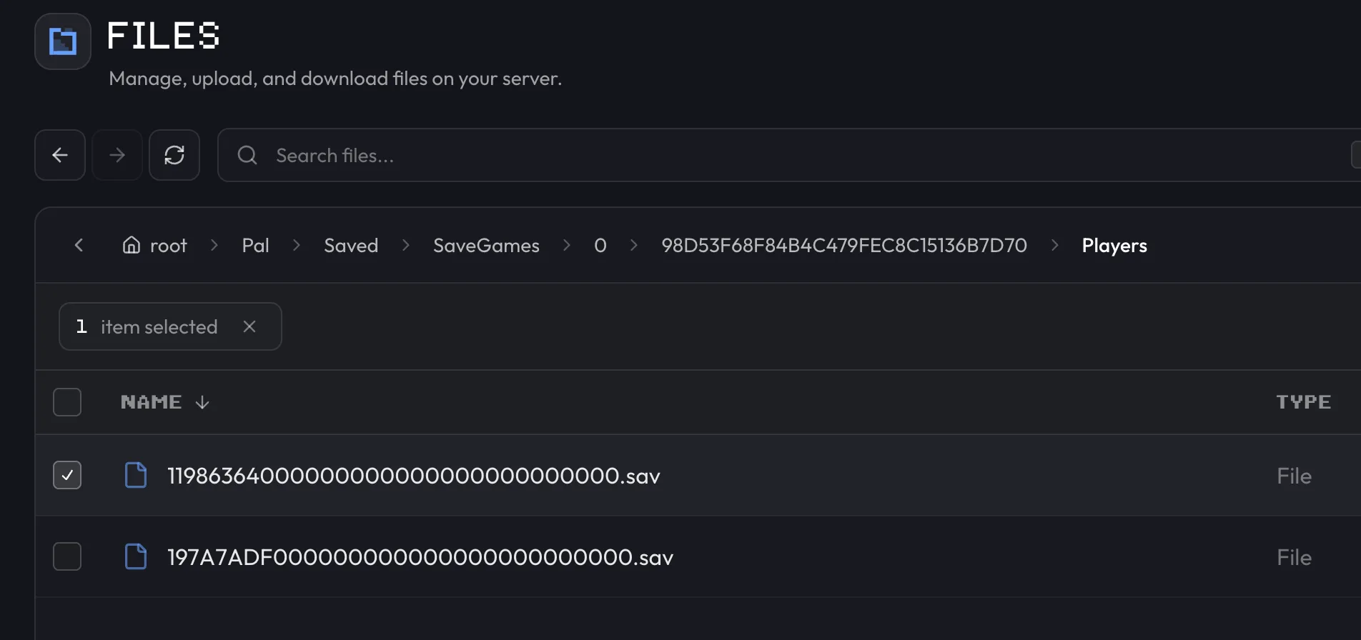 Player save folder in Files